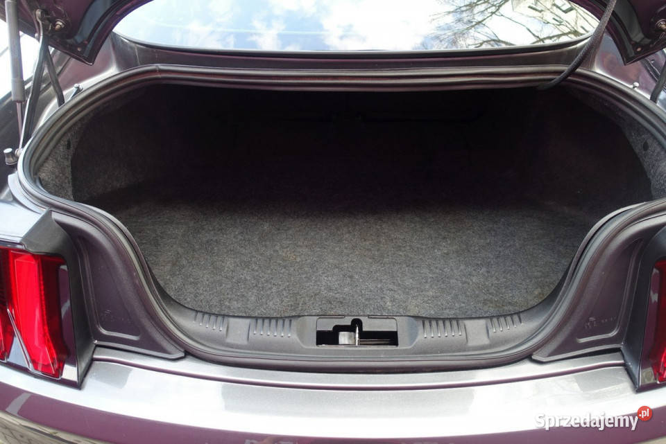 Ford Mustang Prywatna 23 Benzyna 317 Świetny