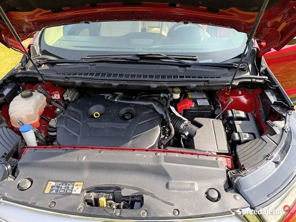 Ford Edge 2017 EDGE Turowola-Kolonia