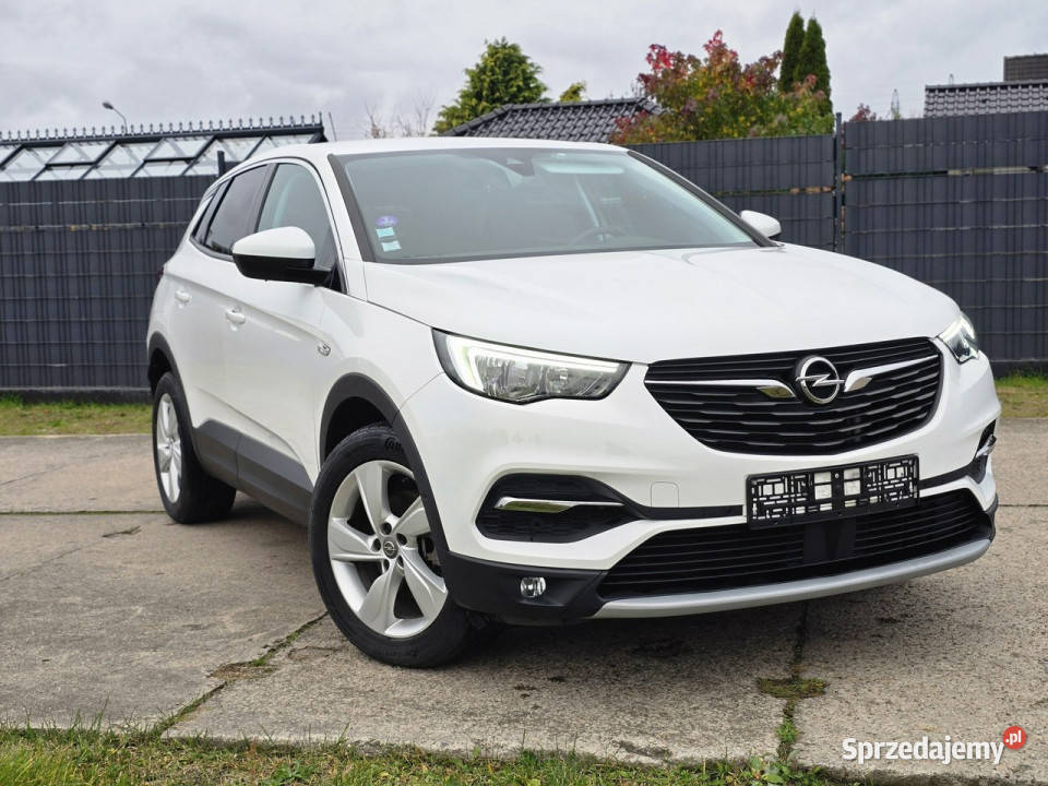 Opel Grandland X ESP Opel Białogard