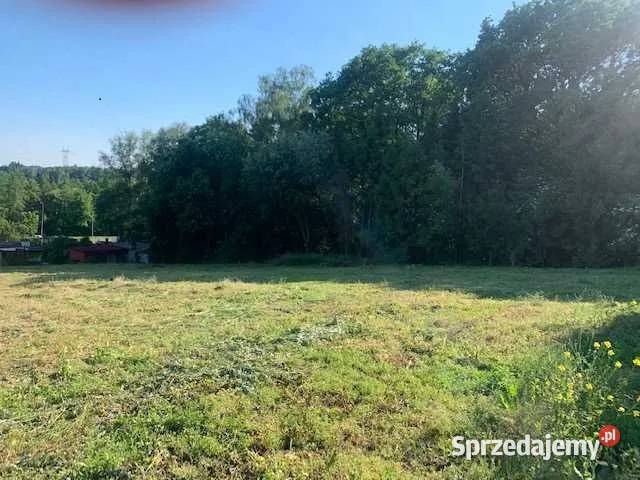 Ostatnia działka lesiesuper brak szkód śląskie Jastrzębie-Zdrój