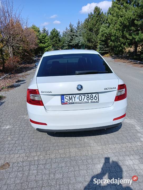Sprzedam Skoda Octavia 16 TDI Octavia Koziegłowy