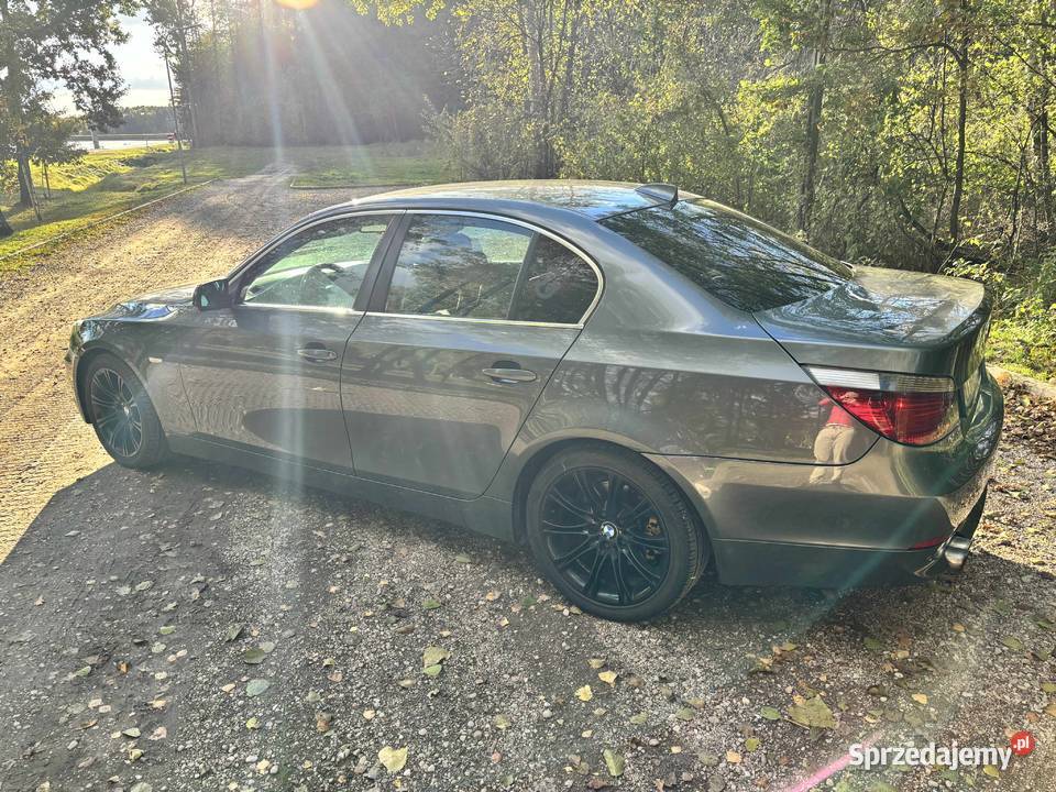 BMW E60 530d 2004r Łuków