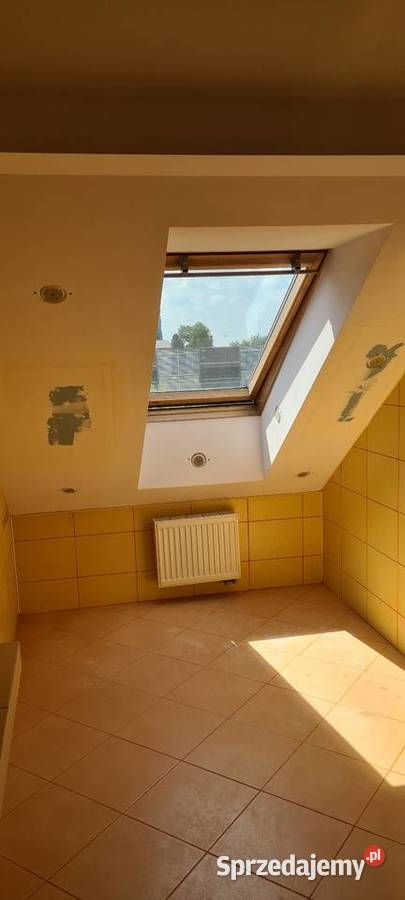 Naprawa ocieplenia dachu Wdmuchiwanie celulozy Wykonanie ociepleń i izolacji Dębica