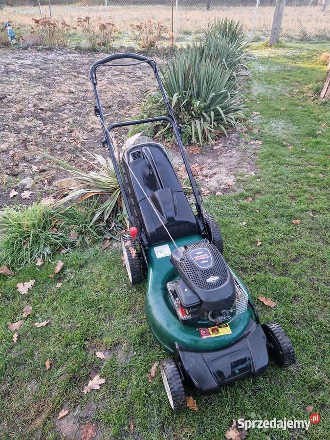 Piły spalinowe różne stihl ikra mogatec lubuskie