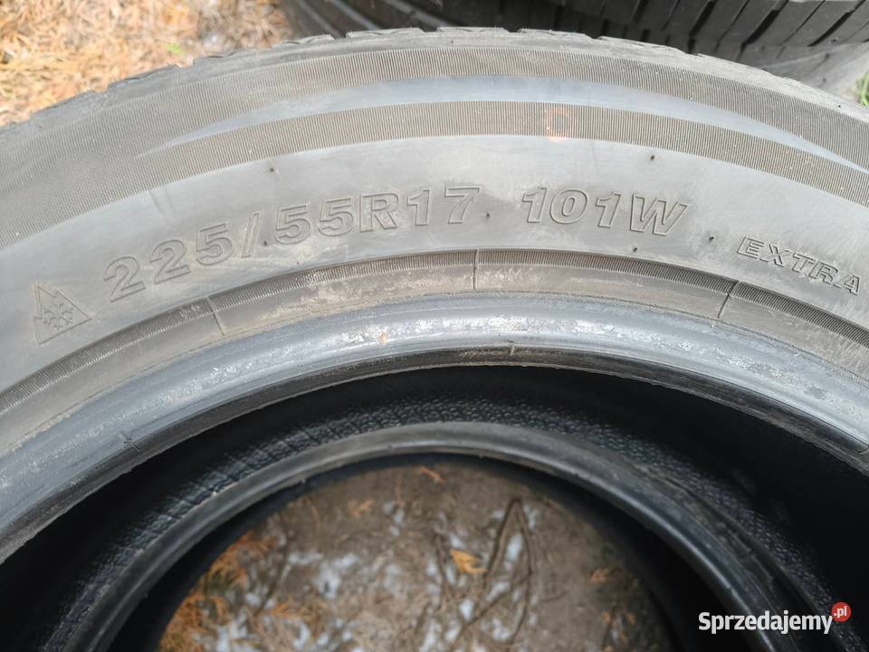 22555 R17 Goodride AllSeason Elite 2023r Samochodowe wielkopolskie Binkowo