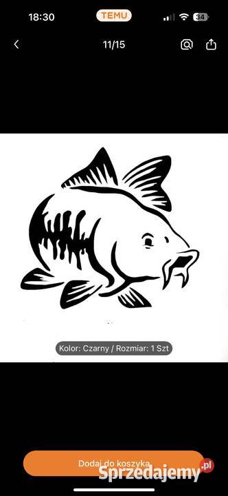 Karp Kroczek 500700 gram Modliborzyce