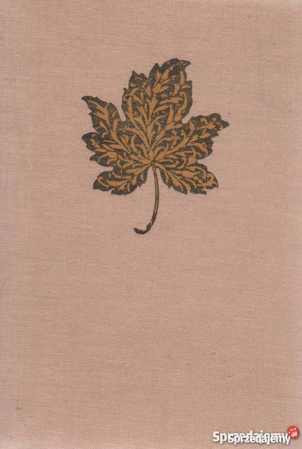 HISTORIA ŻÓŁTEJ CIŻEMKI DOMAŃSKA ANTONINA Rok wydania 1971 Proza i poezja Sandomierz