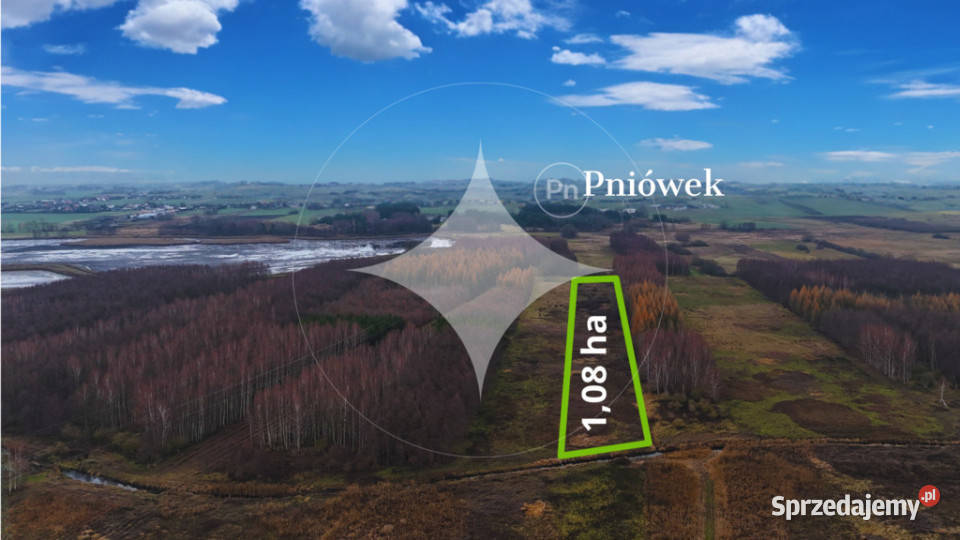 Piękna duża łąka z potencjałem w Pniówku lubelskie Pniówek