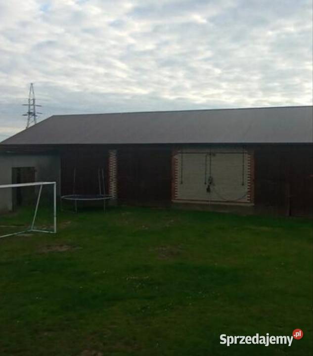 Dom z budynkami gospodarczymi blacha sprzedam