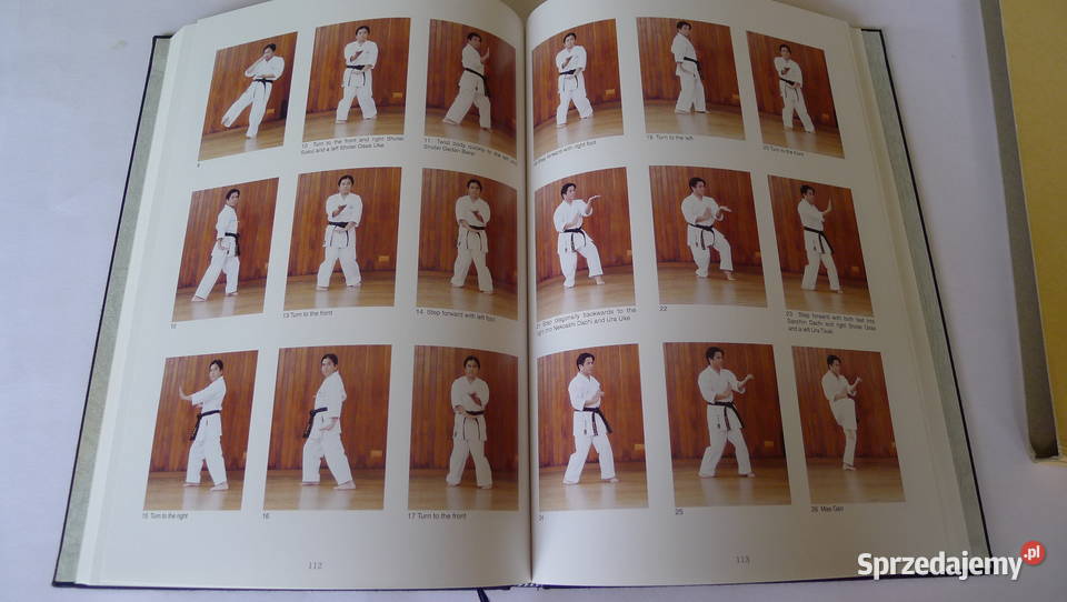 Eiichi Miyazato Okinawa Den Goju Ryu KarateDo Radom