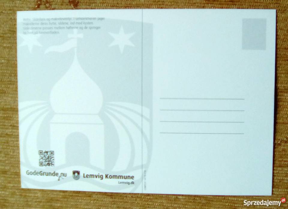 PTAKI BRZEGIEM MORZA Piszczac