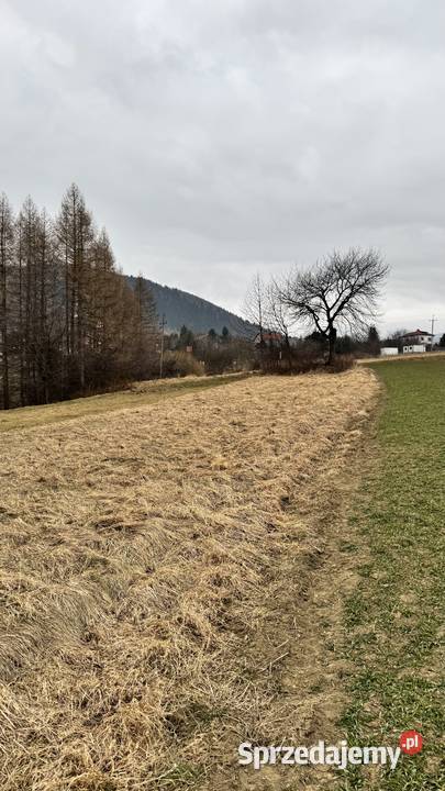 Działka Twardorzeczka z widokiem śląskie