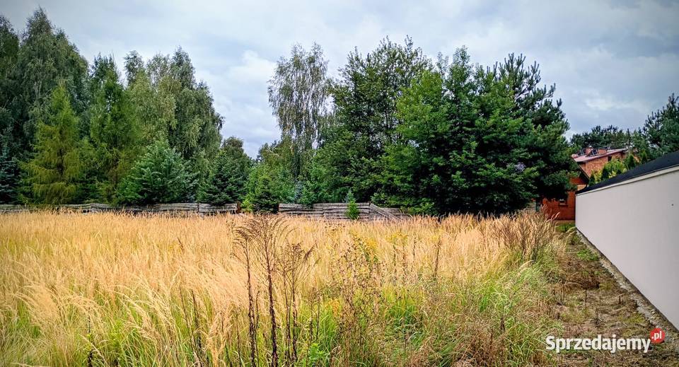 Działka Firlej Serocka pod osiedle domów sprzedam