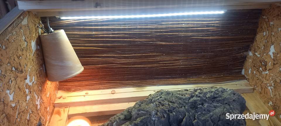 Terrarium gekona lamparciego żółwia kameleona Terrarystyka Opole