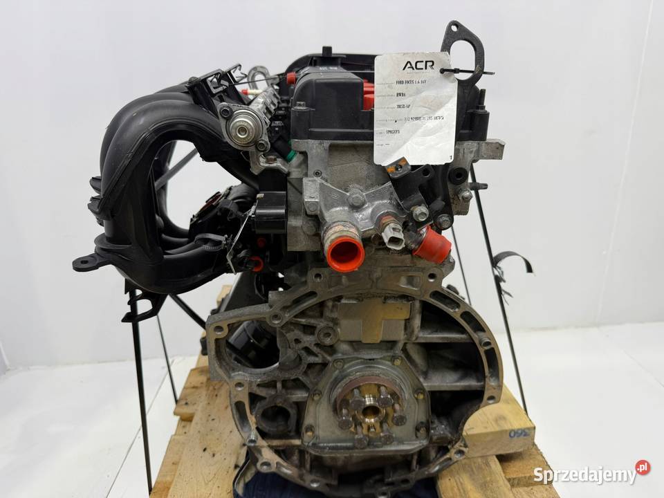 SILNIK Ford Focus II MK2 C C 16 16V 100 Silniki kompletne lubelskie Chełm