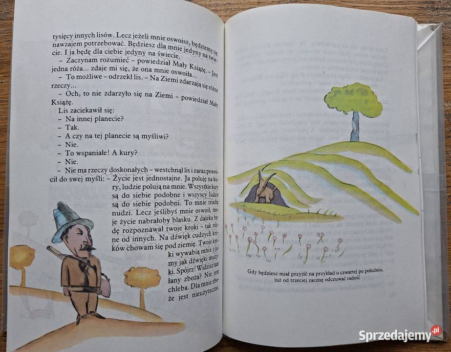 Mały Książę Antoine de SaintExupery Książki dla dzieci małopolskie Kraków