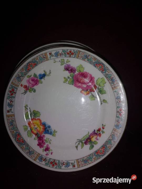 Mlecznik SHELLEY ENGLAND Zachwycający