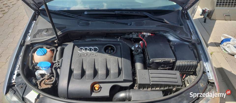 Audi A3 8P 19TDI 2005r Klima SprawnaŁadne Łódź