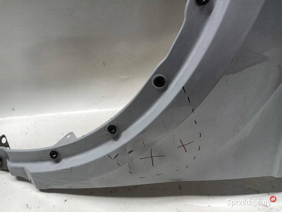 BŁOTNIK PRZÓD PRZEDNI LEWY VW TROC 2GA821105 sprzedam