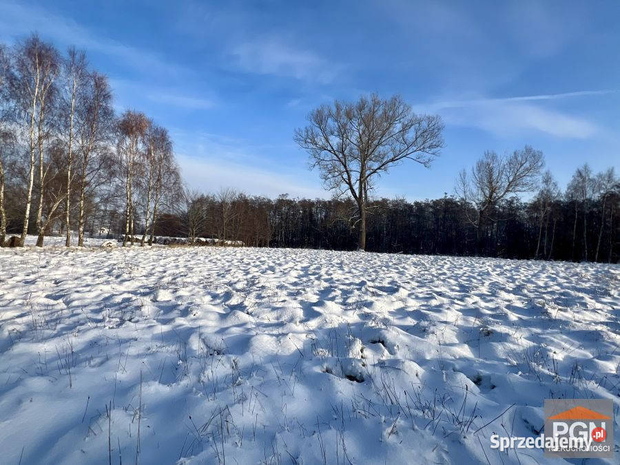 Działka 2134m2 Ładzin Nieruchomości sprzedam