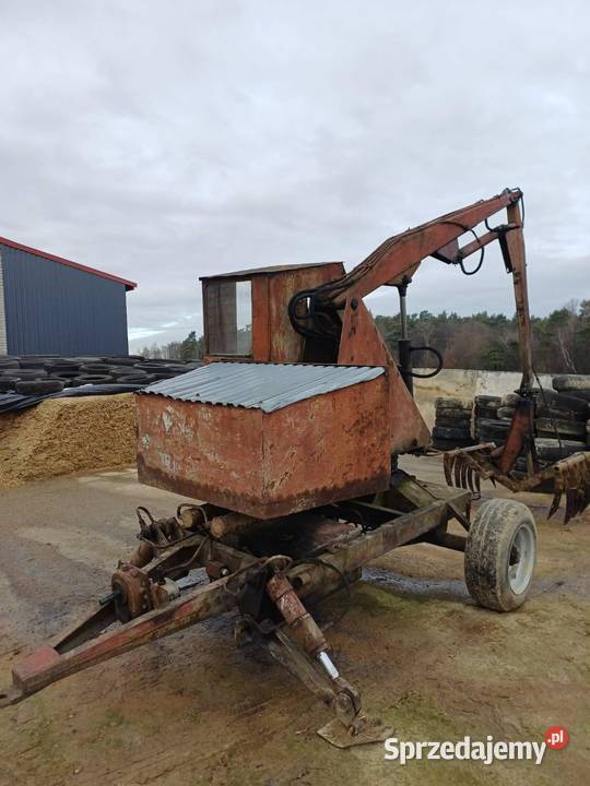 Cyklop nieuszkodzony