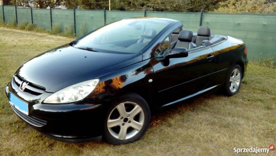 Peugeot 307CC Kabrio Coupe 20 benzyna 2004 Solec Kujawski