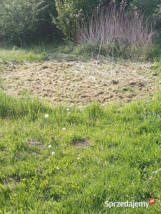Koszenie traw nieużytków
