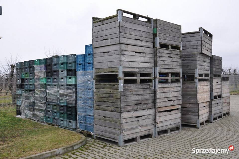 Skrzyniopalety 295 sprzedaż syndyka Ostrowiec