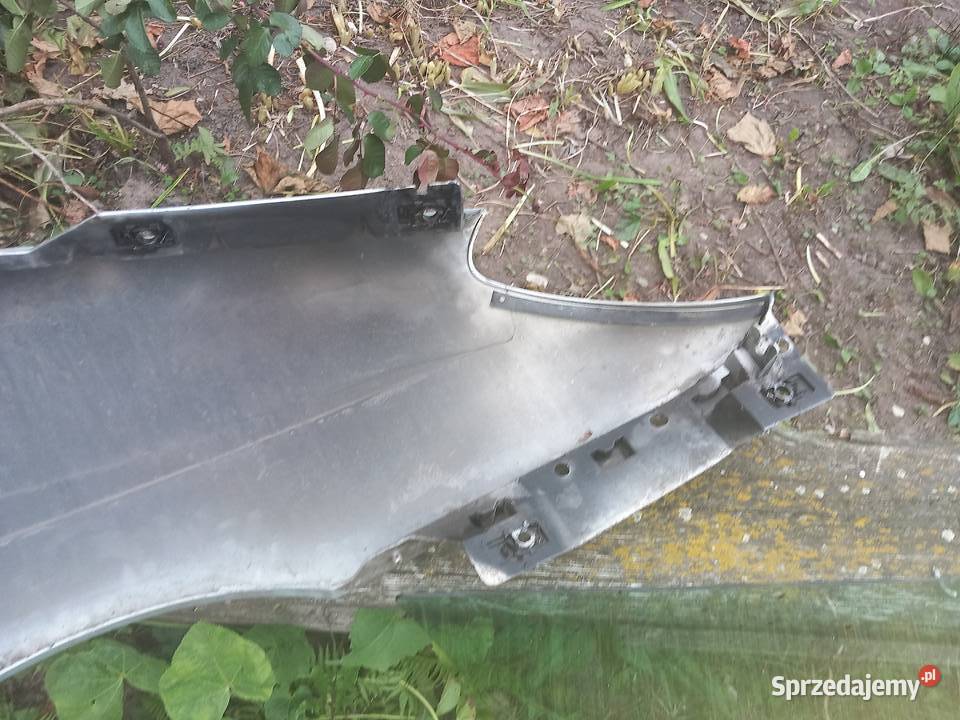 Błotniki prawy lewy do Renault Megane Scenic 19 osobowe śląskie Sosnowiec