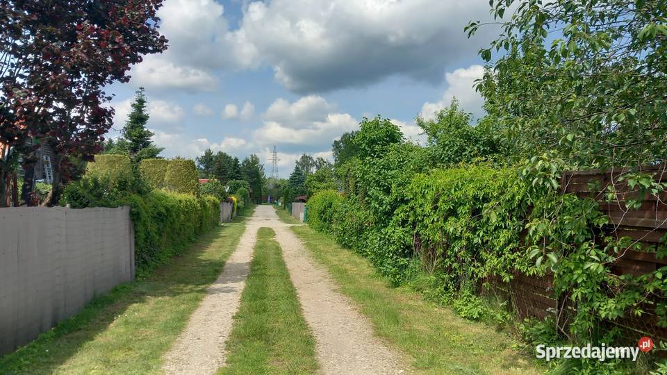 Działka rekreacyjna ROD Słonecznik warmińsko-mazurskie Myki