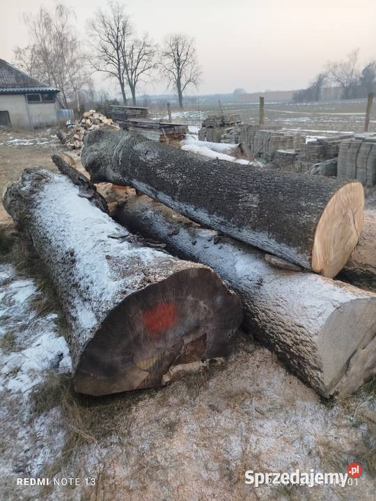 Deski jesion kłody Dąbie