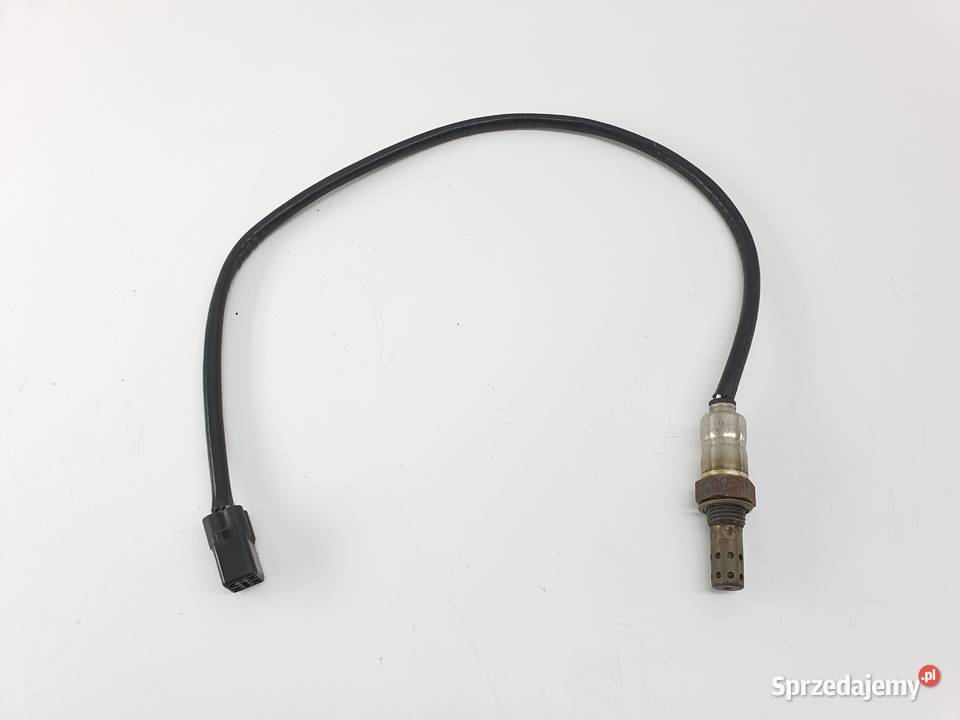 Sonda Triumph Tiger Explorer 1200