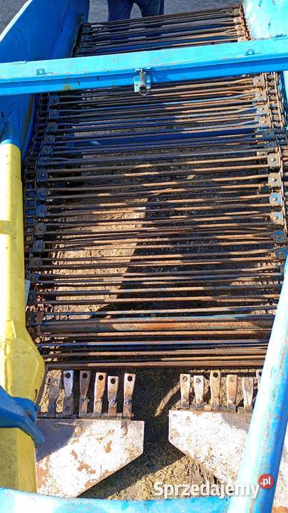 Kopaczka do ziemniaków świętokrzyskie Szydłów