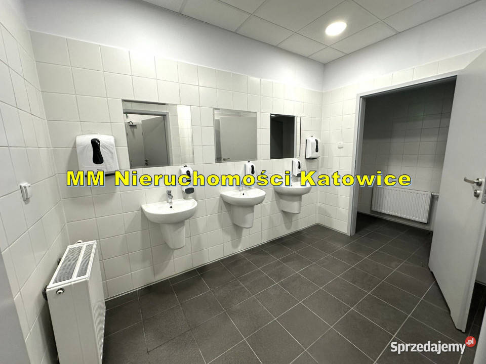 Magazyny z dokami i bramami poziom0 biura i cz Ruda Śląska