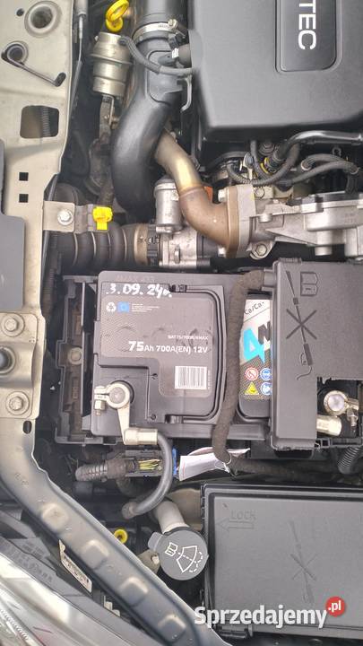 OPEL MERIVA B bezwypadkowa 2010 r mały przebieg Strzelce Krajeńskie