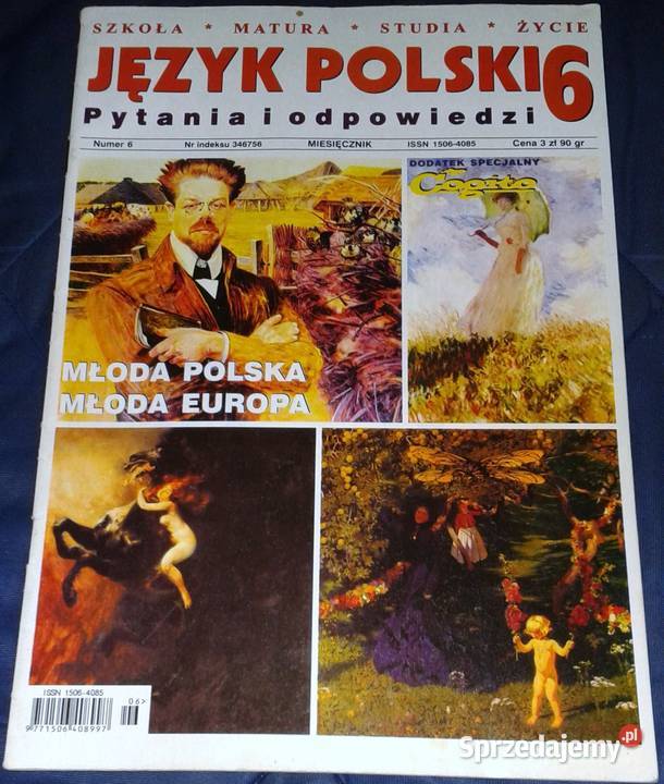 Cogito Język polski 6 Pytania i odpowiedzi miękka Chełm