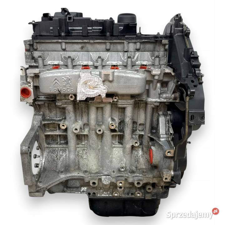 SILNIK T1DB Ford Focus III C C 16 TDCI 115 lubelskie Chełm
