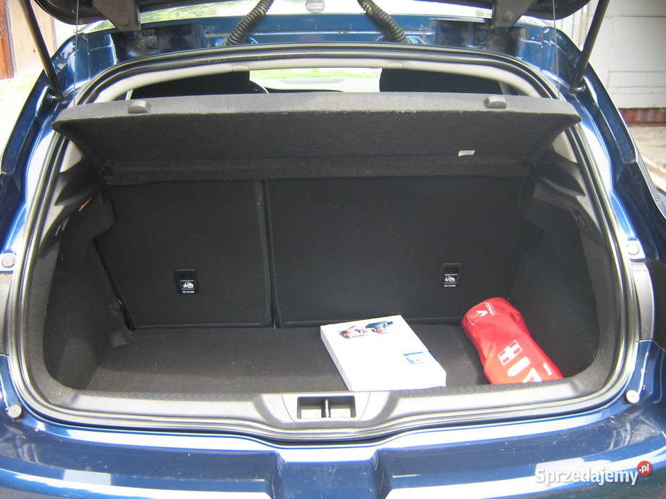 Renault Megane 16 SCe Limited bezwypadkowy Trzebownisko