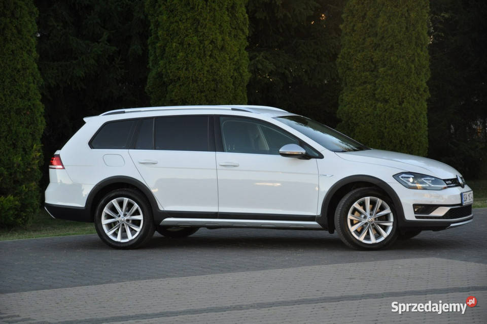Volkswagen Golf ALLTRACK GWARANCJA TITANIUM 100 4/5 Golf Ostrów Mazowiecka sprzedam
