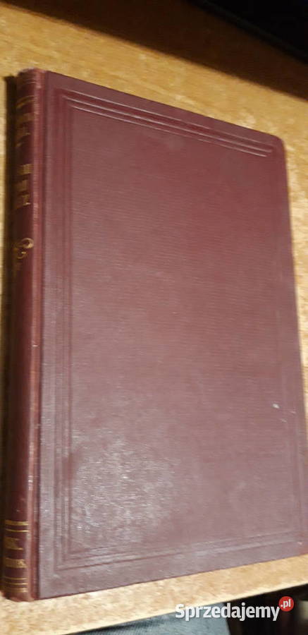 Hetman Ukrainy M Czajkowski Lipsk 1900 sprzedam