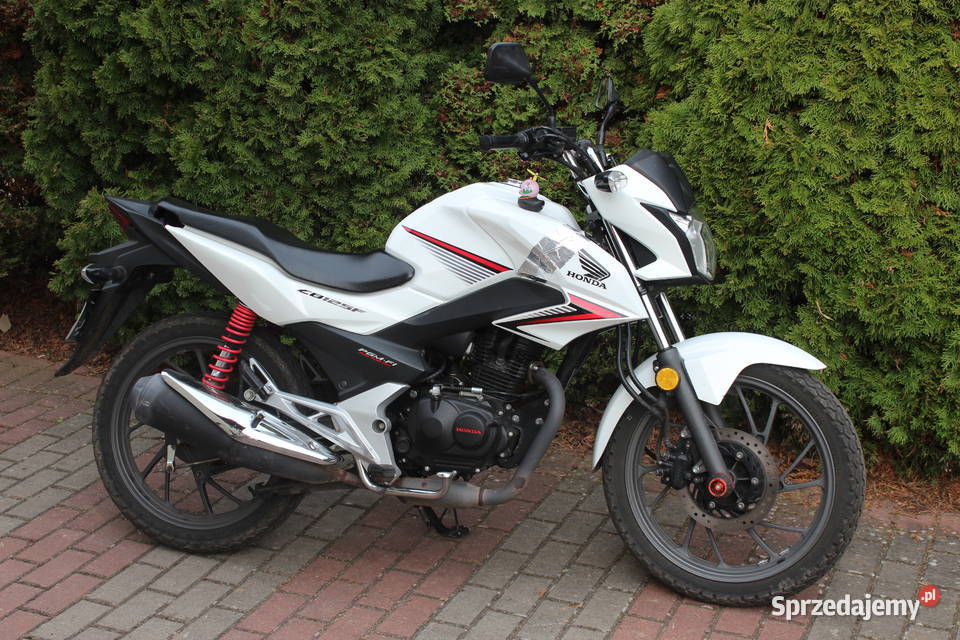 HONDA CBF 125 2017 Raty na telefon zamiana dowóz 125cm3 zachodniopomorskie Goleniów sprzedam