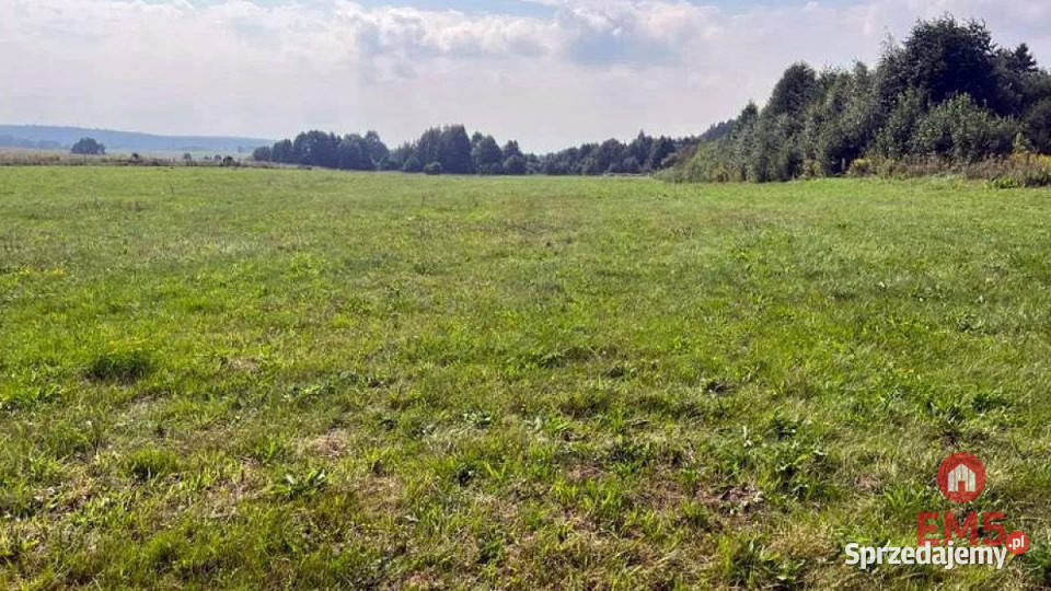 Działka Studzianki 2533m2 Sprzedaż Sprzedaż