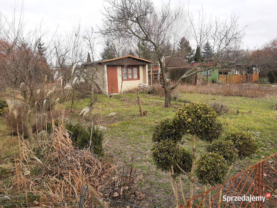 Sprzedam działkę ROD Rawicz Złocie