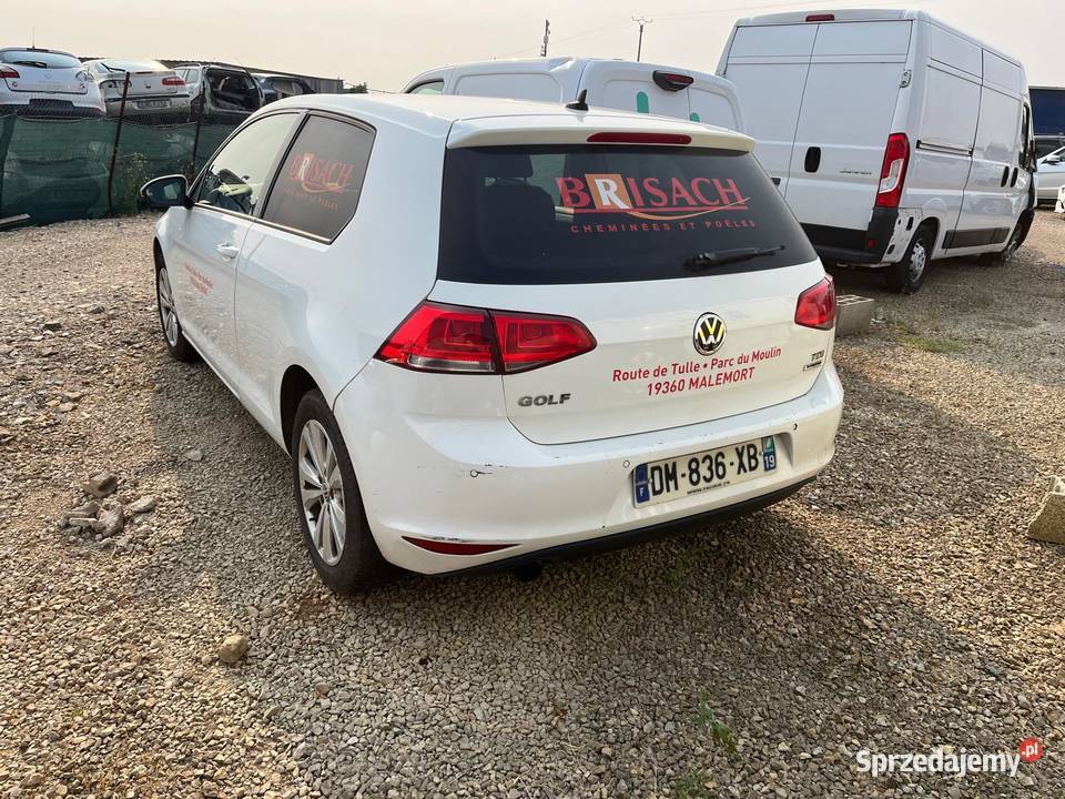 VOLKSWAGEN Golf VII 16 TDI 105 BlueMotion CTTE Wrocław
