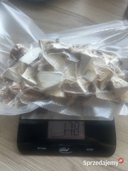 Białoporek brzozowy suszony 160g Leśnictwo Gliwice sprzedam