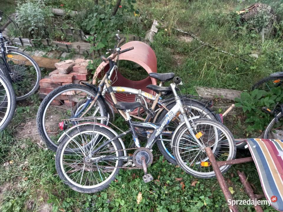 Rowery dzieciach Pozostałe Florynka