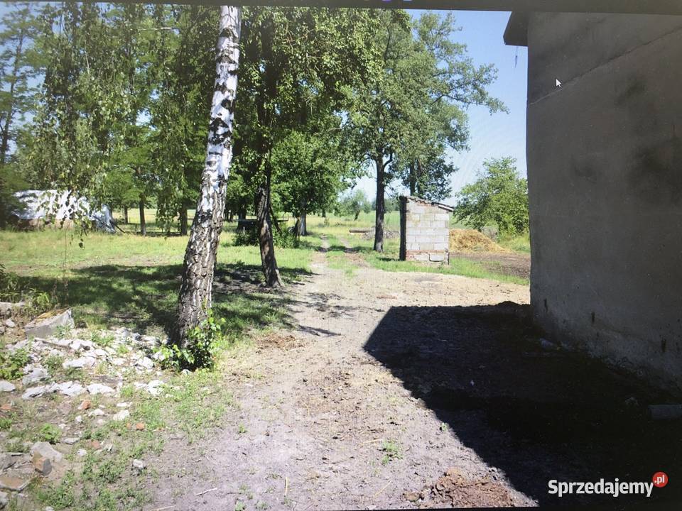 Dom z ziemia rolna 563 ha w Tury na sprzedaz