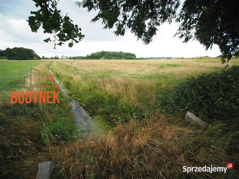 Działka rolna Rusinowo Sprzedaż