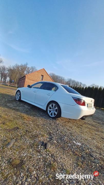 BMW e60 530d 286 manual Koźmin Wielkopolski