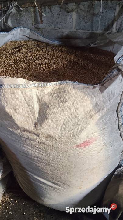 Soja Abaca Zboża opolskie Namysłów